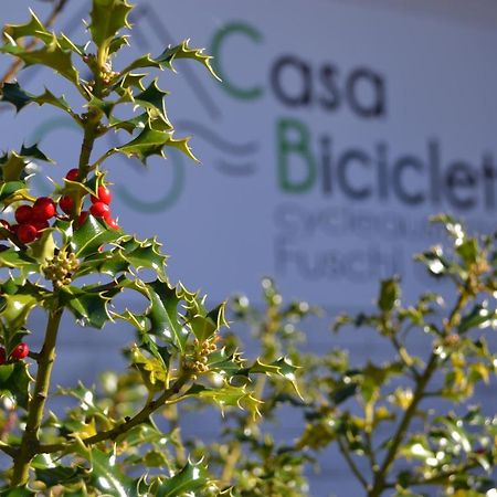 Ferienwohnung Casa Bicicletta Fuschl am See Exterior foto